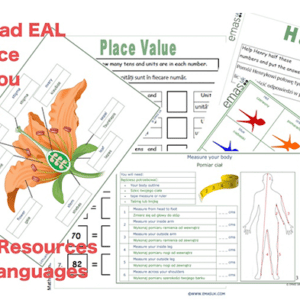 Dual Language EAL resources Example